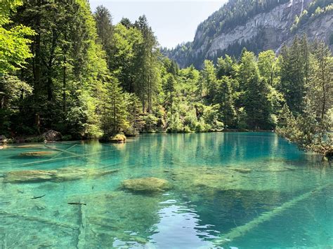 Hidden Treasures Clear Lake
