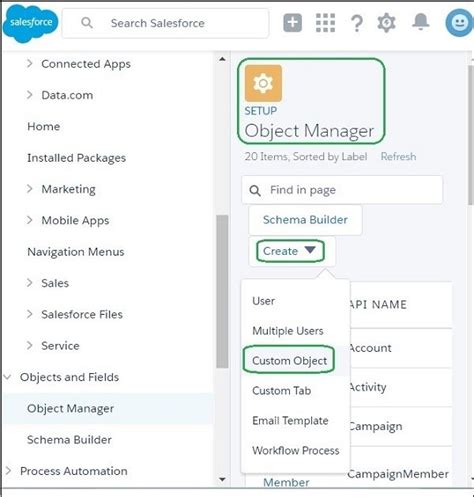 Salesforce Objects Tutorial Learning Path Complete Guide Step In