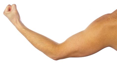 What Is An Elbow Flexion With Pictures