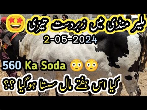 Malir Mandi Latest Rates Bargaining May Update K Vip Soda