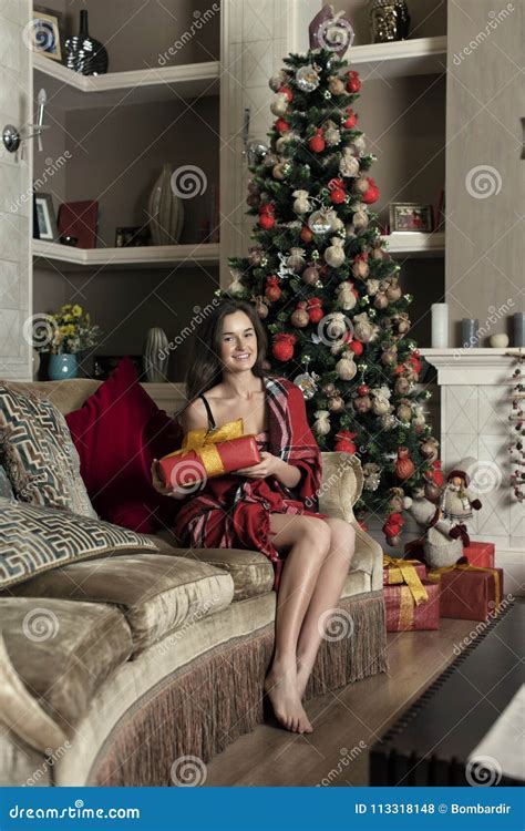 Slender Brunette Posing In Studio Stock Photo Image Of Gift Plaid