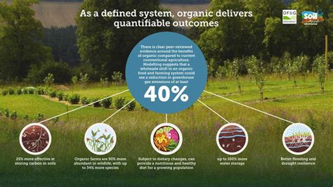 Organic or Regenerative - what’s the difference? | OF&G