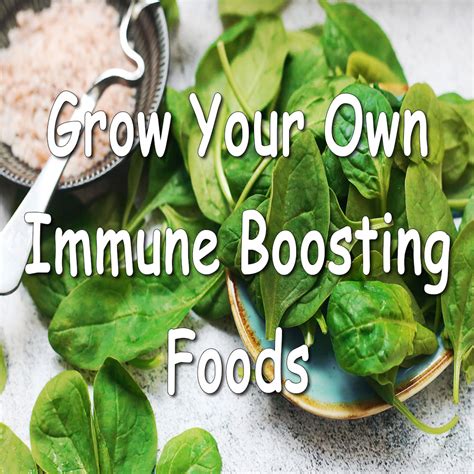 Grow Your Own Immune Boosting Foods Anti Aging Solutions