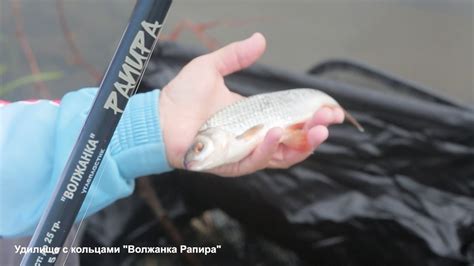 Обзор удилища с кольцами "Волжанка Рапира" - YouTube