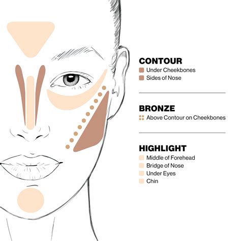 Makeup Contour Diagram