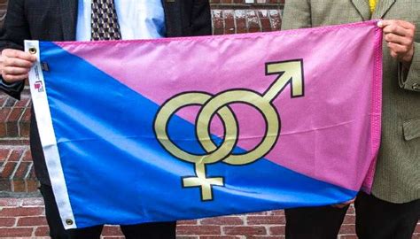 C Mara De Cuiab Aprova Cria O Do Dia Do Orgulho H Tero Guia Gay S O Paulo