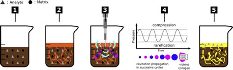 How Ultrasound Assisted Extraction Uae Can Improve The Recovery Of