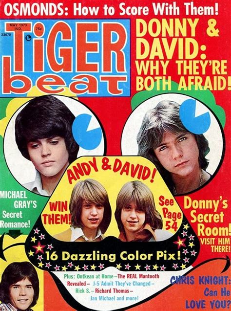 See Top 1970s Stars On 17 Vintage Tiger Beat Magazine Covers And Relive All The Breathless Hype