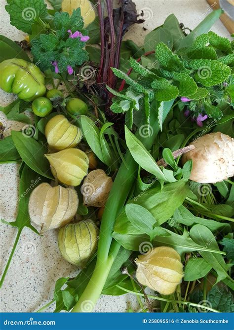 A Collection of Foods Foraged in the Fall Season. Stock Photo - Image