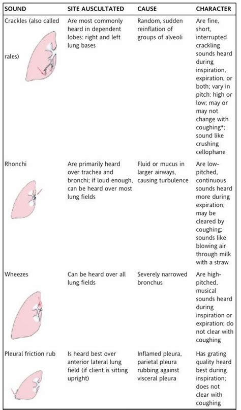 Lung sounds with copd - luascale