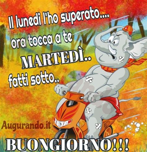 Buon Martedì Con Fantastiche Immagini Entra Immagini Buongiorno