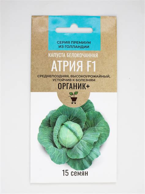 Семена Капуста Атрия F1