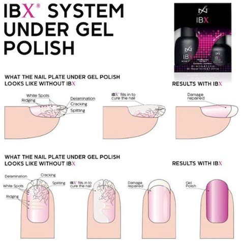 Famous Names IBX System Range - Profile Salon Supplies and Education
