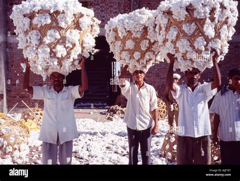 Workers In Cotton Mill Hi Res Stock Photography And Images Alamy