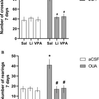 Effects Of Li VPA IMI And The Combined Treatment Of Li VPA With IMI