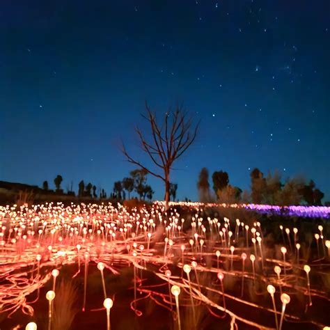 David Pocock - David Pocock added a new photo.