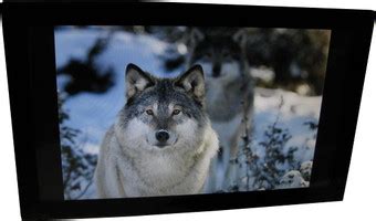 Цифровые фоторамки купить в Минске
