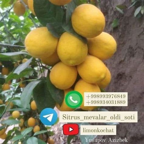 Общественный фонд "ЛАРК Иссык-Куль" | Facebook