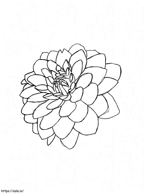 Printable Dahlia Flower Coloring Page
