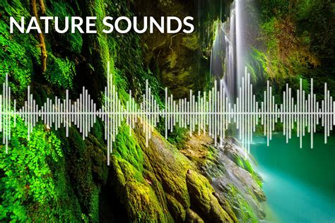 Nature Sounds - Natural Sounds for sleep, relaxing and meditation