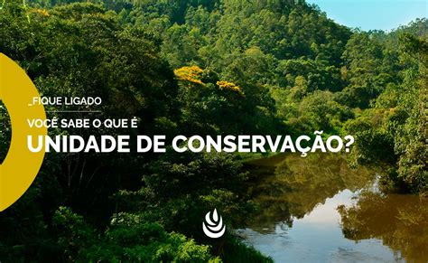 é Possível Utilizar Recursos Naturais Provenientes De Unidades De Conservação Edulearn