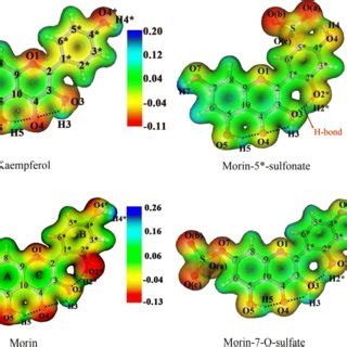 Optimized Geometries In Aqueous Solution Of Four Kaempferol Based