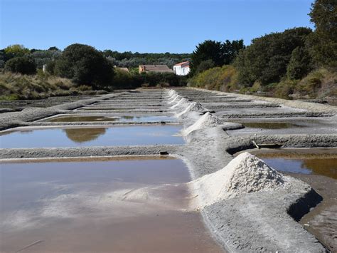 LES SALINES (Les Sables d'Olonne): Ce qu'il faut savoir pour votre