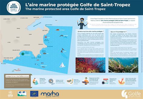 Une aire marine protégée unique Communauté de communes du Golfe de