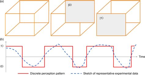 necker cube     stable interpretations denoted