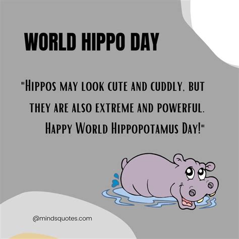 50 World Hippo Day Quotes Messages And Wishes Slogans