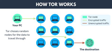 Tor Vs Vpn Which Is Best For Your Online Privacy