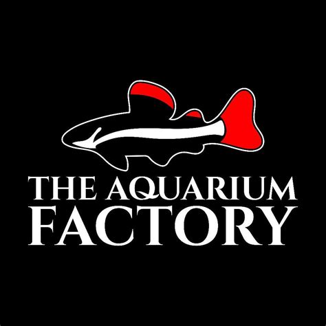 Obsidian Aquatics Melbourne Vic