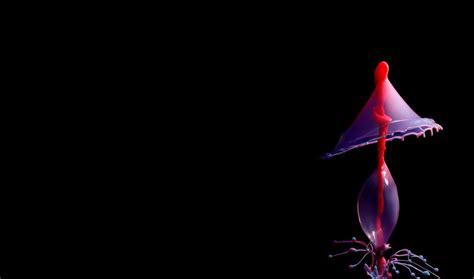 300 2440x1440 Backgrounds