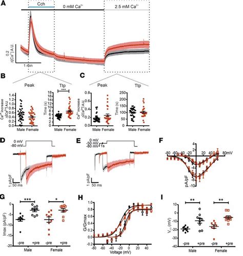 JCI Insight Molecular Mechanism Responsible For Sex Differences In Electrical Activity Of