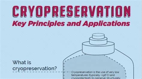 Cryopreservation: Key Principles and Applications | Technology Networks