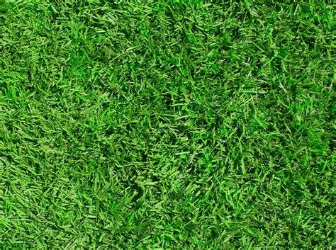 Fresh Sod Direct From Our Farm | Super-Sod