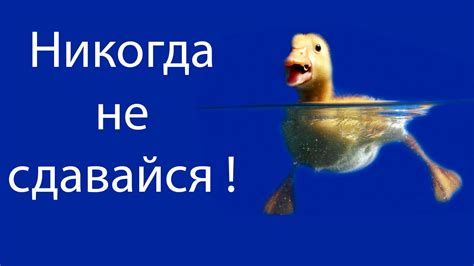 Никогда не сдавайся ! - YouTube