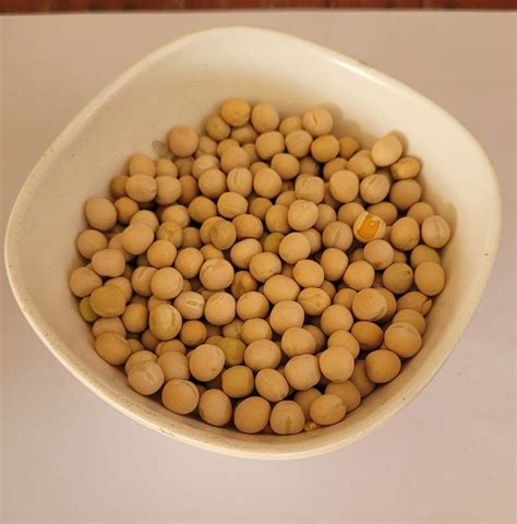 A Grade White Dried Pea Beans At Rs 71kg In Pune Id 2850368242455