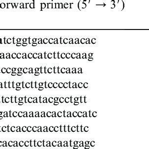 List Of Genes Confirmed By Rt Pcr To Validate Microarray Results