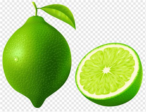 Lime Fruit Persian Lime Lemon Lime Drink Key Lime Green Lime Natural