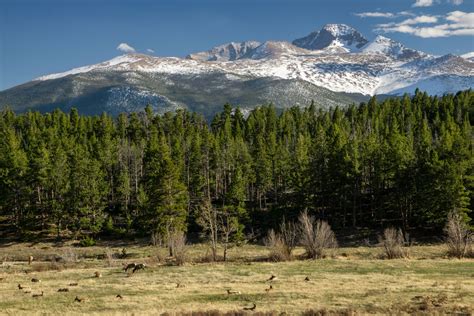 Rocky Mountain Nat'l Park HIDDEN GEM | Upper Beaver Meadows