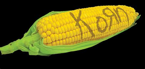 korn corn    rkorn