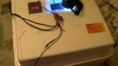 Инкубатор БИ 2 - YouTube