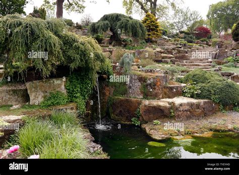 rock garden water feature rhs wisley spring stock photo alamy