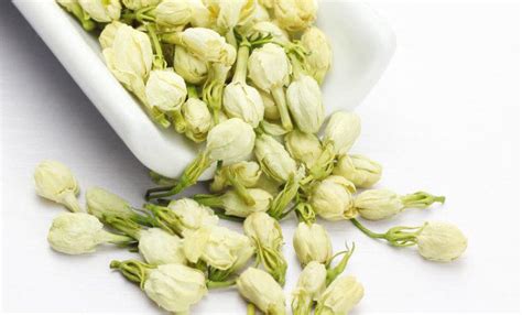 Заготовка жасмина для чая: сбор, сушка и хранение цветов жасмина в ...