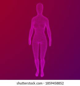 Linear D Naked Girl Fulllength Woman Stock Vector Royalty Free
