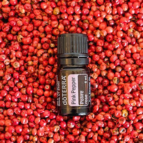 Pink Pepper Uses And Benefits Doterra Essential Oils