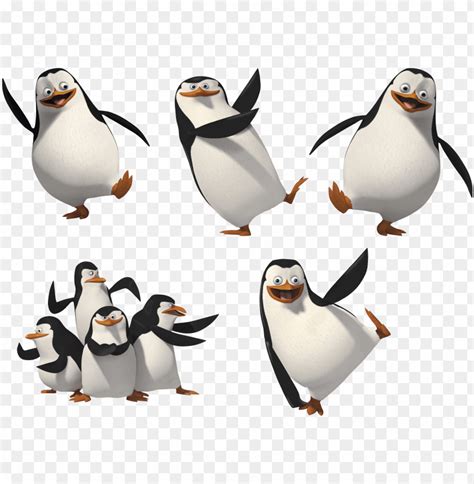 Madagascar Penguins Png Image Penguin Of Madagascar Png Transparent