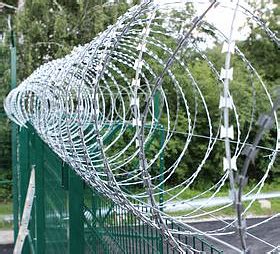 Колючая проволока Егоза купить по выгодной цене в Челябинске