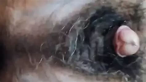 Abuelo Gordito Hermoso Free Gay Bdsm Porn Xhamster